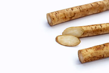 Burdock Root (Gobo) on white background.