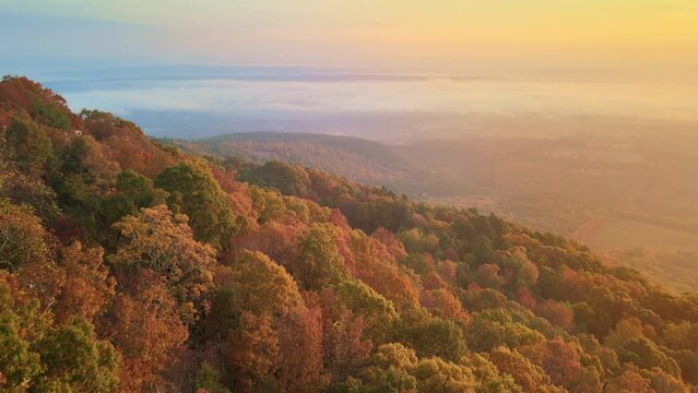 Descending arial drone shot of golden sunlight over Ozark mountain forest in Arkansas with lake view and colorful fall colored leaves wrapped in fog and hazy 
