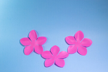 Pétalos de flor en fondo celeste, concepto de tarjetas florales, invitaciones diseño editable.