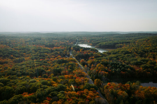 Drone view of fall foliage and water