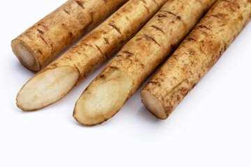 Burdock Root (Gobo) on white background.