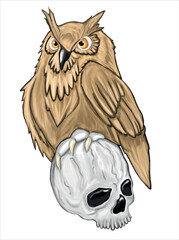 owl. Hand drawn vector illustration. Print design for t-shirt.Retro old style