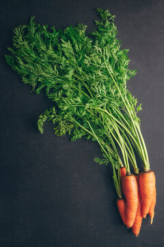 spring food vegetable carrot. fresh orange carrots and beetroot. Farm healthy food.. Product Image Vegetable Root Carrot