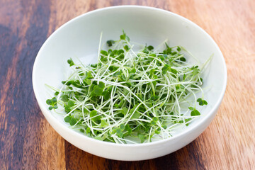 Obraz na płótnie Canvas Organic kale sprouts. Healthiest vegetables concept
