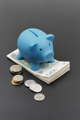PLN coins and banknotes and pigibank for saving money. Polish currency.