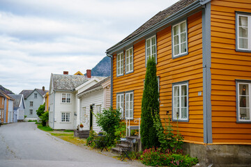 Fototapeta na wymiar Generic style homes in Lærdalsøyri Norway