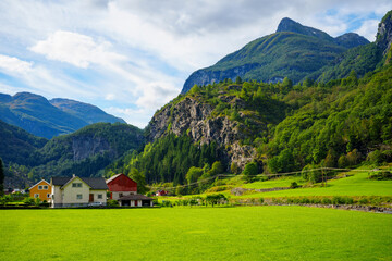 Fototapeta na wymiar Norwegian farm homes