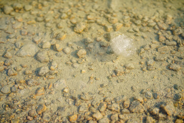 Small chunk of ice from a melting glacier in Norway