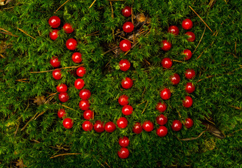 red viburnum berries laid out in the form of a Ukrainian trident against a background of green moss