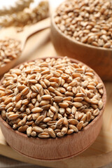 Wheat grains in bowls on wooden board, closeup