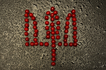 red viburnum berries laid out in the form of a Ukrainian trident on a black background