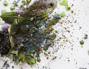 Cosmetics from natural components. Shimmery eye shadow. Loose blue and green particles. Textures  of leaves mint.             