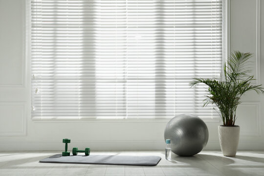 Exercise mat, dumbbells, fitness ball and houseplant near window in spacious room