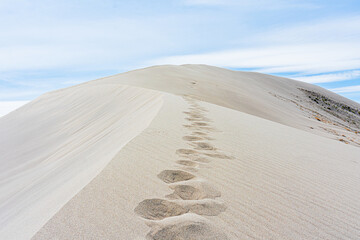 Path in the desert