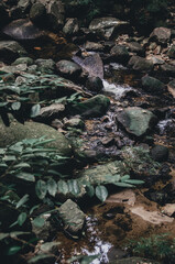 picture of a waterfall that flows fresh in the mountains and is a place of recreation for residents and tourists who come