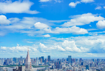 Obraz premium 東京・新宿・渋谷