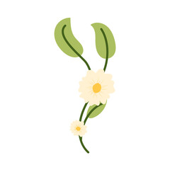 Two Flowers Flat Element