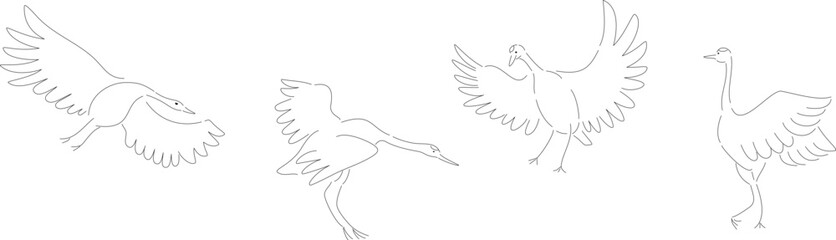 4羽の鶴の線画イラストセット　線のみ、塗りなし