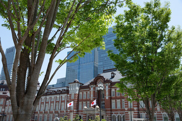 東京駅と樹木