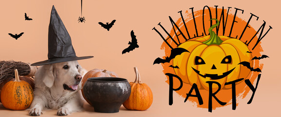 Cute Labrador dog in witch's hat, with cauldron and pumpkins on beige background. Halloween...
