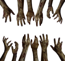 Many hands of scary zombies isolated on white