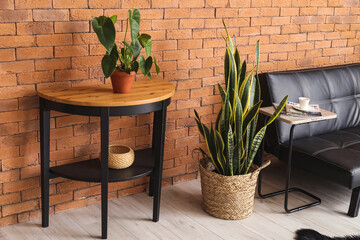 Table with houseplants near brick wall in living room