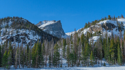 Colorado Landscape