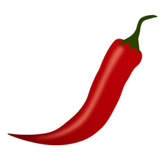 Red Chili Pepper. 