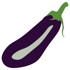 Fresh eggplant illustration and vector. Eggplant symbol and icon