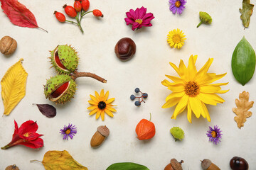 Autumn composition with natural forest decor and flowers on light background