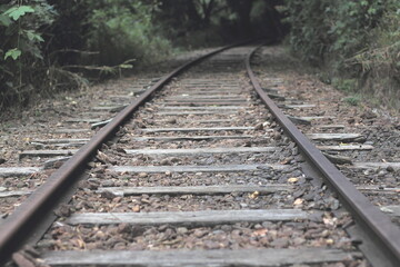 旧国鉄廃線跡、、森の中の線路