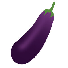 Fresh eggplant illustration and vector. Eggplant symbol and icon
