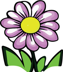 Beautiful flower on white background 