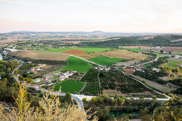Green landscape of the Andalusia countryside, Spain with hills and generic vegetation