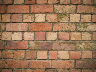 Brick pattern background orange color old with moss growing.
