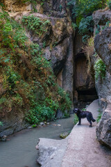 Obraz premium Hiking route through the Cahorros de Monachil. Grenade. Spain