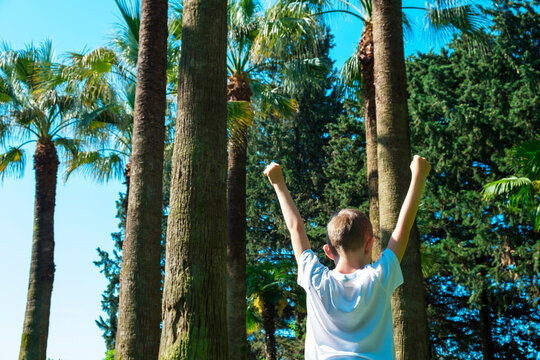 Child Boy Of 7 Years Old, Pulls Hands To Sun, Doing Yoga And Looks Up At Palm Trees, Back View. Dreaming And Meditation, Zen Like Concept. Relaxation, Travel Vacation Kids