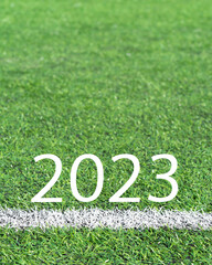 White markings on an artificial football field