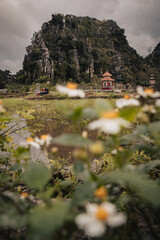 A Vietnamese temple with karst mountains in the background and white and yellow blurred flower in...