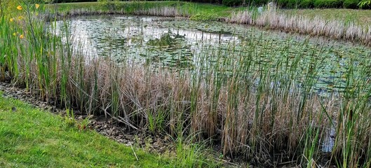 Peaceful Reflecting September Pond
