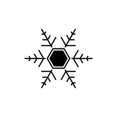 Snowflake icon design template vector illustration