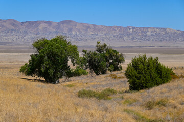 Carrizo Plain with Temblor Range in View