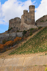 Fototapeta na wymiar Old fortress castle on the banks of the Rhein River in Germany with a vineyard growing next to it.