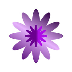 purple flower 