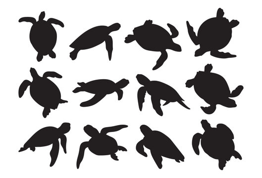 Sea turtle stencil template bundle isolated on white background