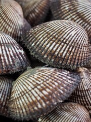 신선한 해산물 꼬막, 요리재료