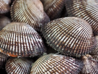 신선한 해산물 꼬막, 요리재료