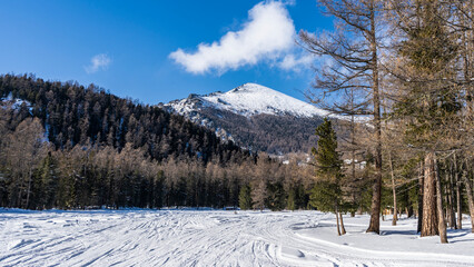 Coniferous forest grows on the mountainside and in the valley. A wooden house is hiding in the taiga. There are a lot of tire tracks and snowmobiles in the snow. Blue sky with clouds. Altai.