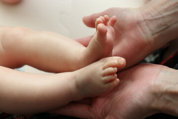 新生児のボディーパーツ、足、手