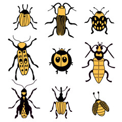 Set beetles. Insects. White background, isolate. vector illustration.